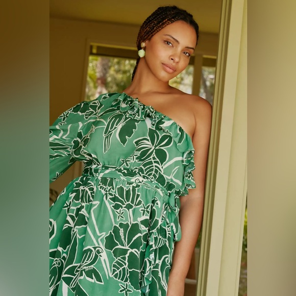 Farm Rio Anthropologie 3X one shoulder ruffle dress - Picture 3 of 13